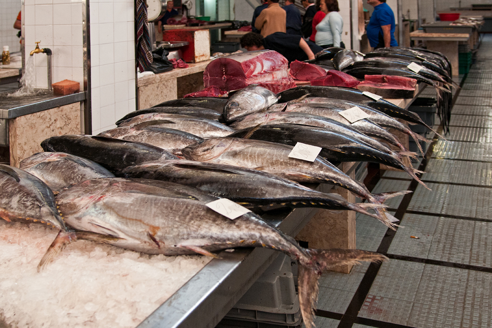 632_Madera_Funchal - targ Mercado dos Lavradores.jpg